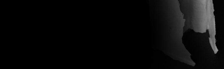 hlava